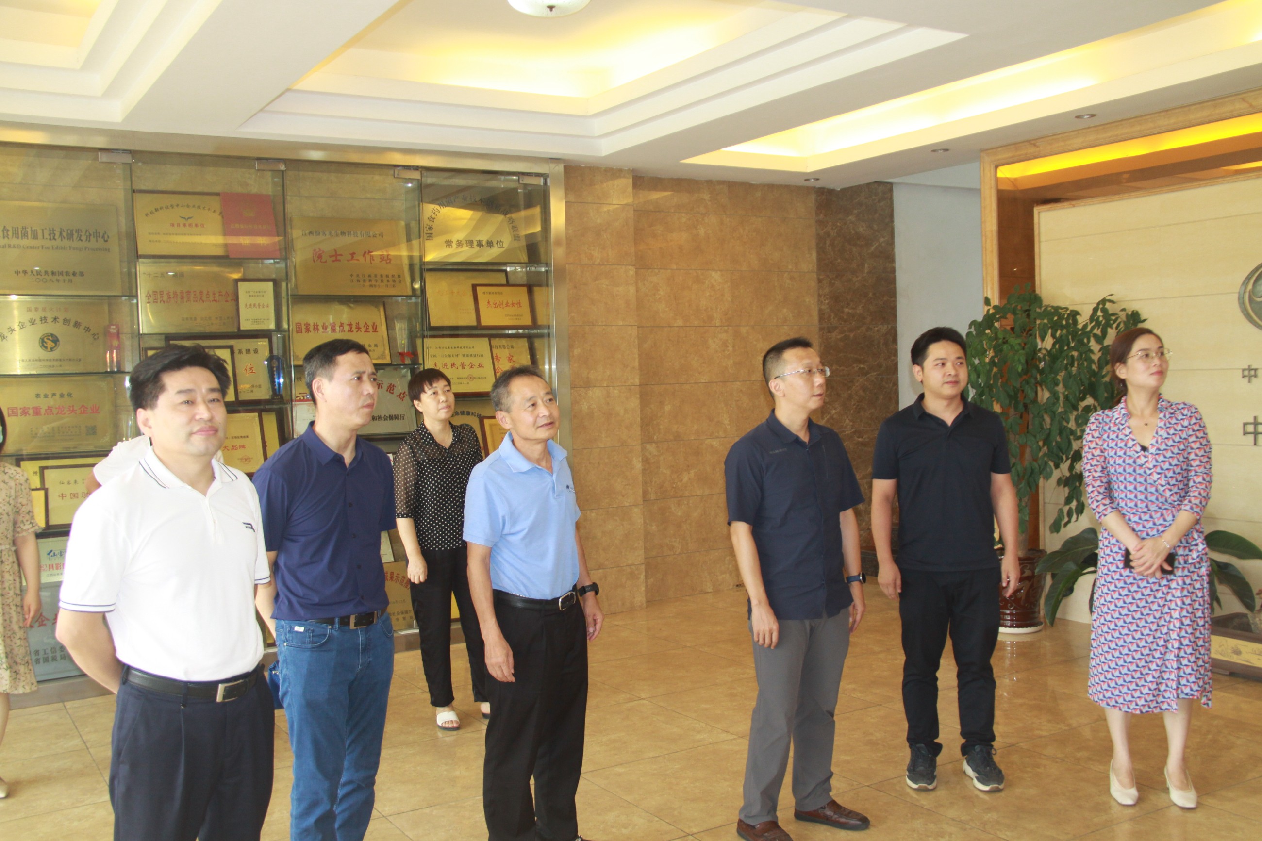 杭州亞運會官方靈芝產(chǎn)品供應(yīng)商|杭州亞運會官方供應(yīng)商|中國靈芝十大品牌|仙客來靈芝|仙客來靈芝破壁孢子粉|仙客來孢子油|仙客來靈芝飲片|仙客來破壁孢子粉|靈芝孢子油|孢子粉|靈芝破壁孢子粉|靈芝|中華老字號