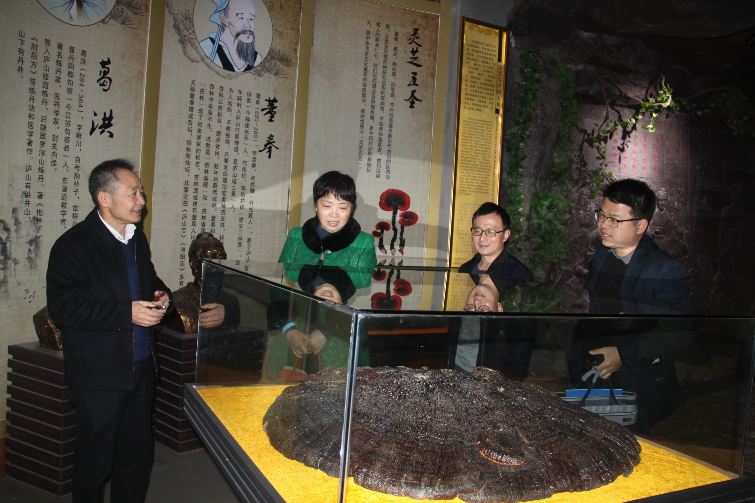 杭州亞運(yùn)會(huì)官方靈芝產(chǎn)品供應(yīng)商|杭州亞運(yùn)會(huì)官方供應(yīng)商|中國靈芝十大品牌|仙客來靈芝|仙客來靈芝破壁孢子粉|仙客來孢子油|仙客來靈芝飲片|仙客來破壁孢子粉|靈芝孢子油|孢子粉|靈芝破壁孢子粉|靈芝|中華老字號(hào)