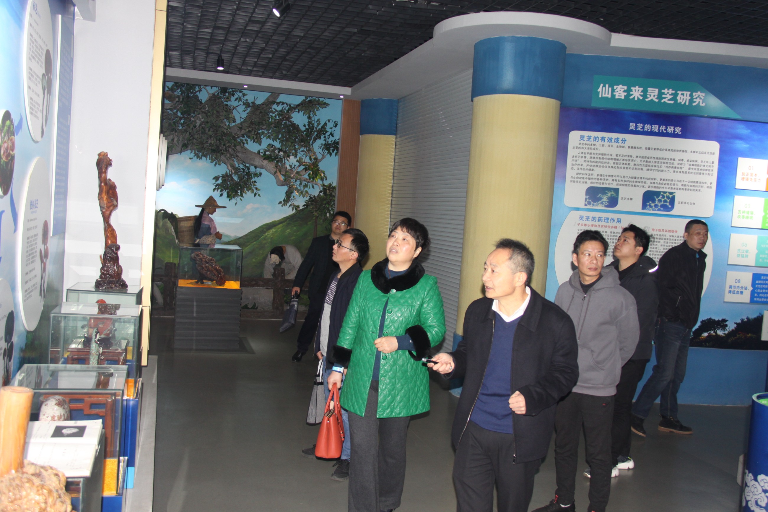 杭州亞運(yùn)會(huì)官方靈芝產(chǎn)品供應(yīng)商|杭州亞運(yùn)會(huì)官方供應(yīng)商|中國靈芝十大品牌|仙客來靈芝|仙客來靈芝破壁孢子粉|仙客來孢子油|仙客來靈芝飲片|仙客來破壁孢子粉|靈芝孢子油|孢子粉|靈芝破壁孢子粉|靈芝|中華老字號(hào)