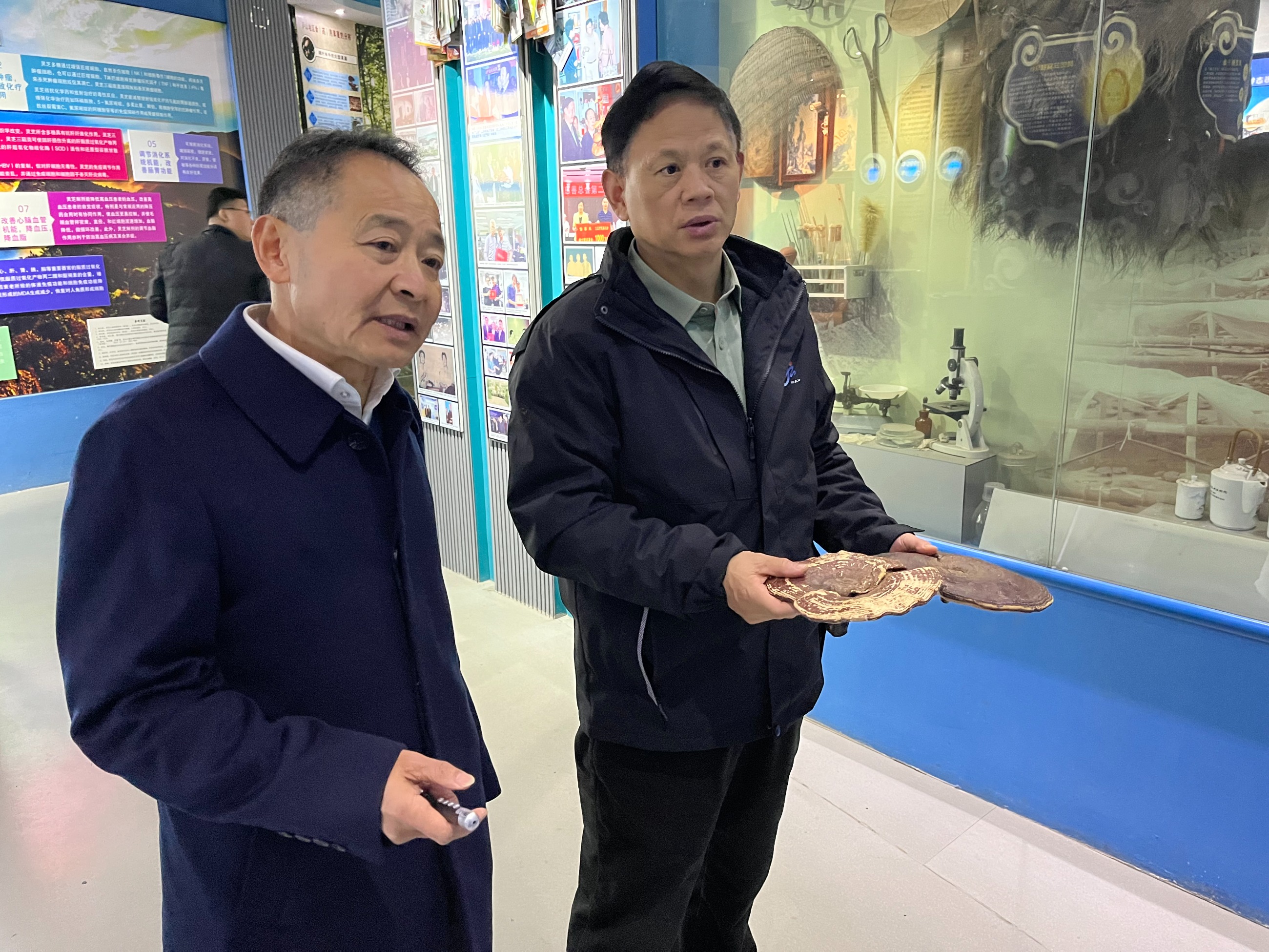 杭州亞運會官方靈芝產(chǎn)品供應商|杭州亞運會官方供應商|中國靈芝十大品牌|仙客來靈芝|仙客來靈芝破壁孢子粉|仙客來孢子油|仙客來靈芝飲片|仙客來破壁孢子粉|靈芝孢子油|孢子粉|靈芝破壁孢子粉|靈芝|中華老字號