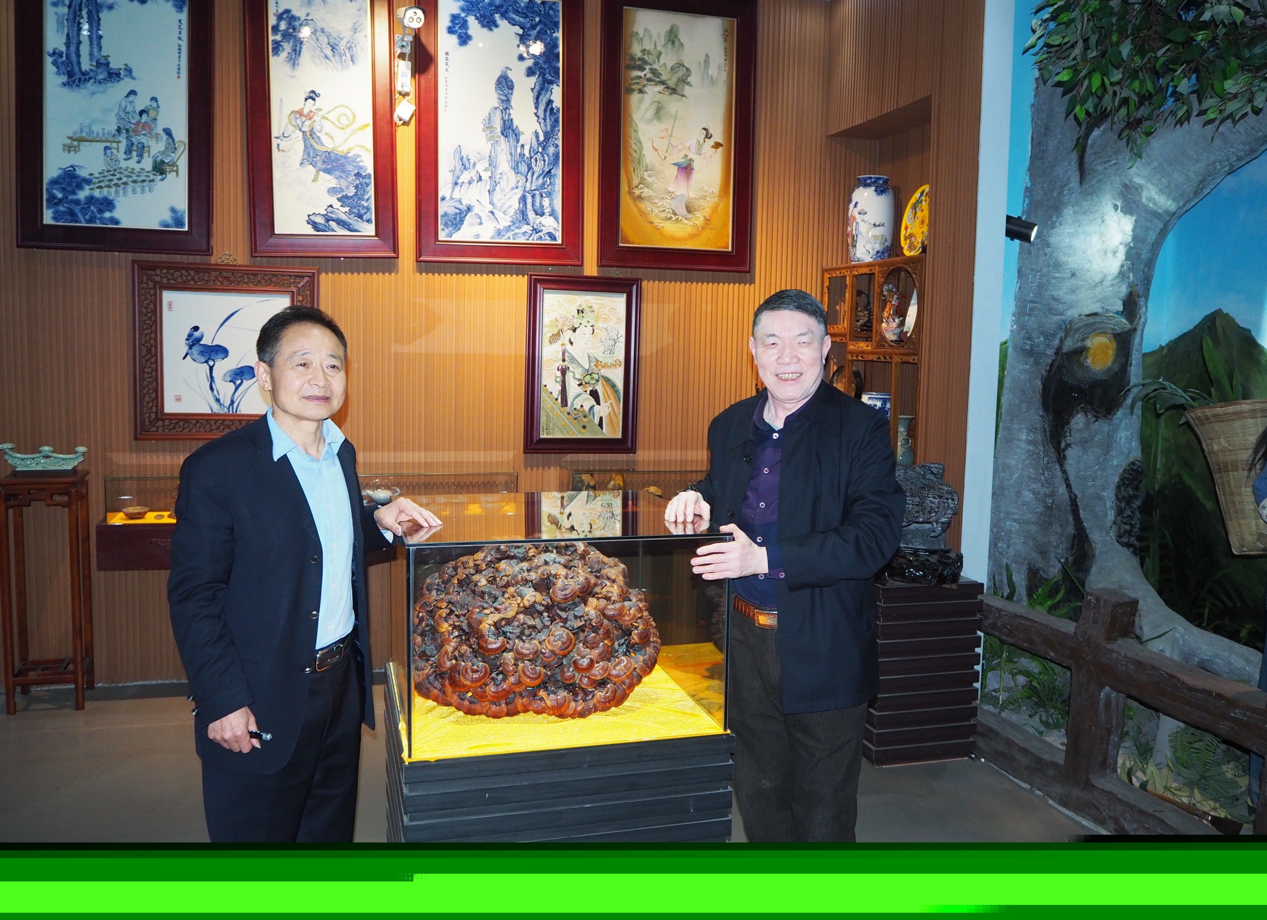 杭州亞運(yùn)會(huì)官方靈芝產(chǎn)品供應(yīng)商|杭州亞運(yùn)會(huì)官方供應(yīng)商|中國(guó)靈芝十大品牌|仙客來(lái)靈芝|仙客來(lái)靈芝破壁孢子粉|仙客來(lái)孢子油|仙客來(lái)靈芝飲片|仙客來(lái)破壁孢子粉|靈芝孢子油|孢子粉|靈芝破壁孢子粉|靈芝|中華老字號(hào)