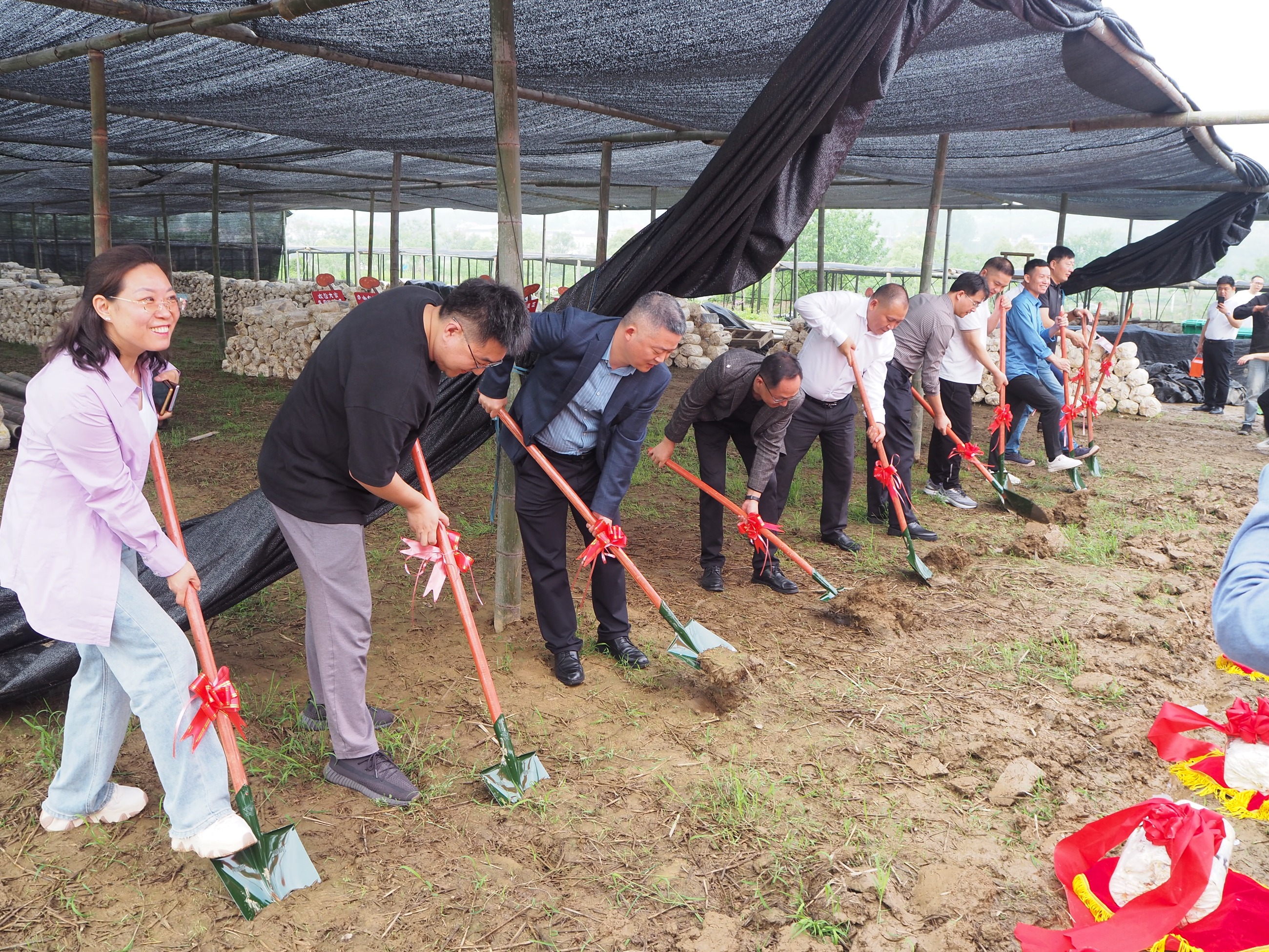 杭州亞運會官方靈芝產(chǎn)品供應商|杭州亞運會官方供應商|中國靈芝十大品牌|仙客來靈芝|仙客來靈芝破壁孢子粉|仙客來孢子油|仙客來靈芝飲片|仙客來破壁孢子粉|靈芝孢子油|孢子粉|靈芝破壁孢子粉|靈芝|中華老字號