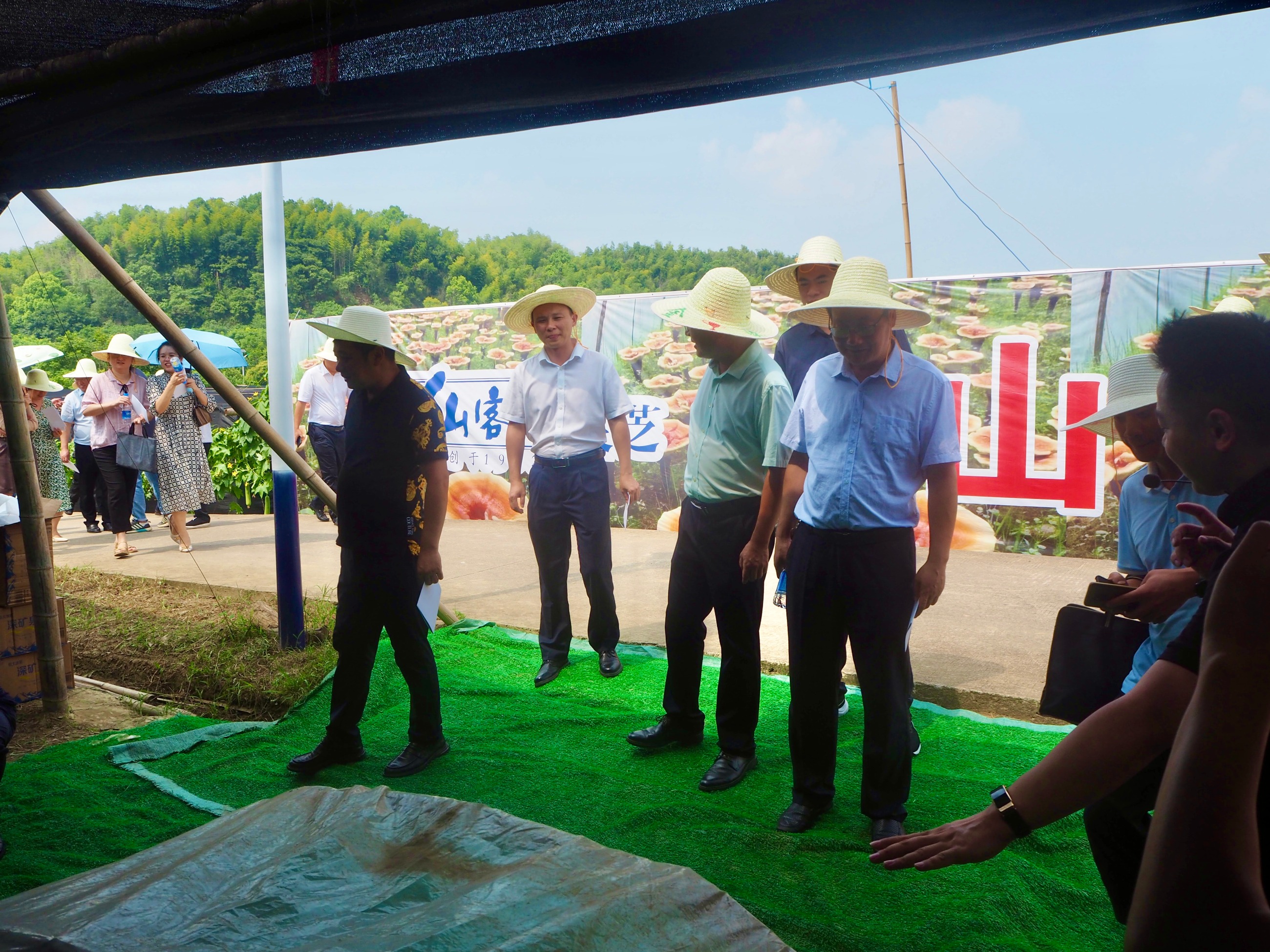 杭州亞運會官方靈芝產(chǎn)品供應(yīng)商|杭州亞運會官方供應(yīng)商|中國靈芝十大品牌|仙客來靈芝|仙客來靈芝破壁孢子粉|仙客來孢子油|仙客來靈芝飲片|仙客來破壁孢子粉|靈芝孢子油|孢子粉|靈芝破壁孢子粉|靈芝|中華老字號