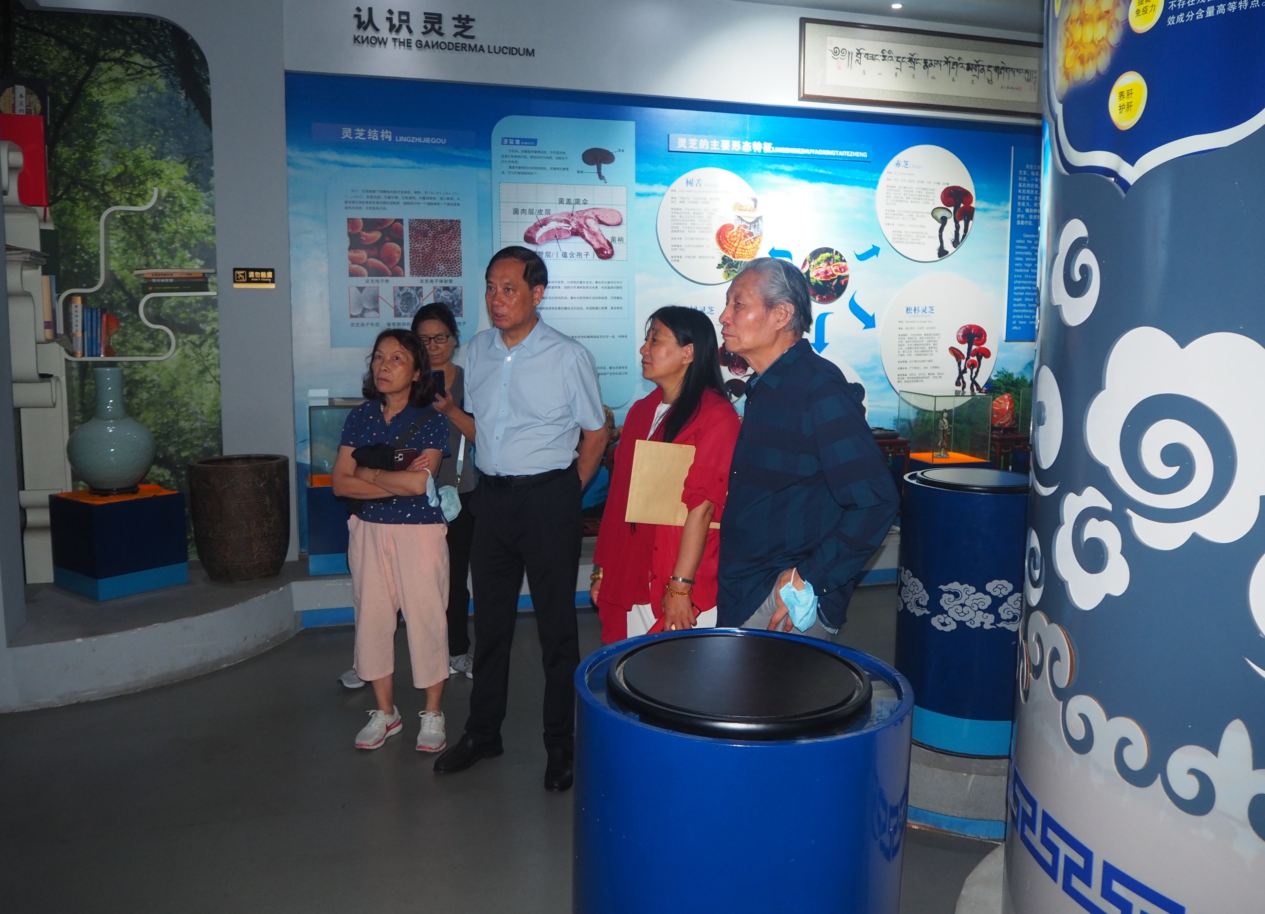 杭州亞運會官方靈芝產(chǎn)品供應(yīng)商|杭州亞運會官方供應(yīng)商|中國靈芝十大品牌|仙客來靈芝|仙客來靈芝破壁孢子粉|仙客來孢子油|仙客來靈芝飲片|仙客來破壁孢子粉|靈芝孢子油|孢子粉|靈芝破壁孢子粉|靈芝|中華老字號