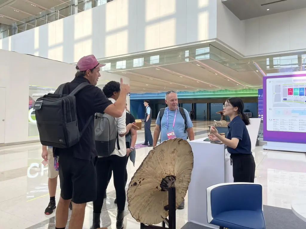 杭州亞運會官方靈芝產(chǎn)品供應商|杭州亞運會官方供應商|中國靈芝十大品牌|仙客來靈芝|仙客來靈芝破壁孢子粉|仙客來孢子油|仙客來靈芝飲片|仙客來破壁孢子粉|靈芝孢子油|孢子粉|靈芝破壁孢子粉|靈芝|中華老字號