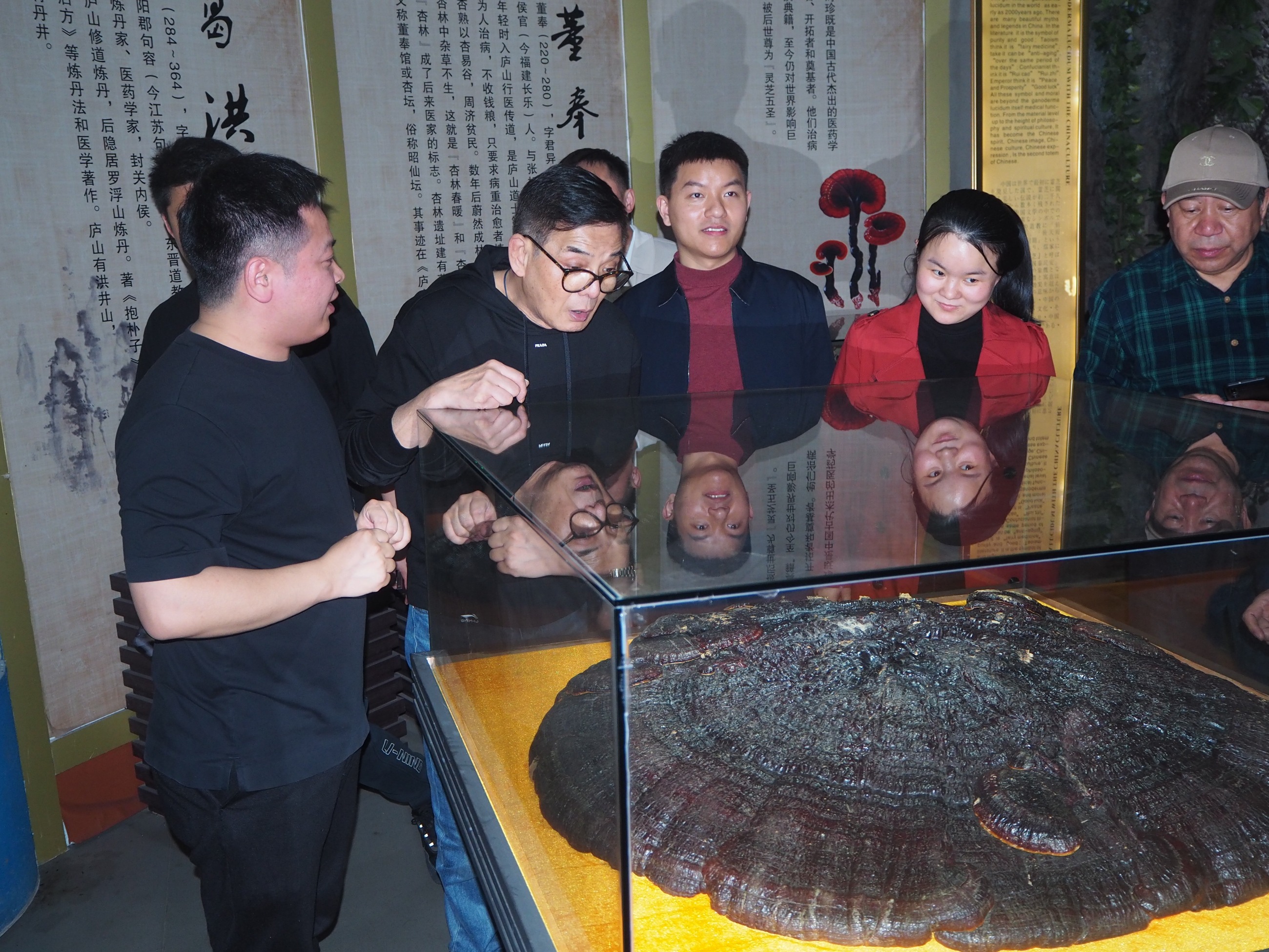 杭州亞運(yùn)會(huì)官方靈芝產(chǎn)品供應(yīng)商|杭州亞運(yùn)會(huì)官方供應(yīng)商|中國靈芝十大品牌|仙客來靈芝|仙客來靈芝破壁孢子粉|仙客來孢子油|仙客來靈芝飲片|仙客來破壁孢子粉|靈芝孢子油|孢子粉|靈芝破壁孢子粉|靈芝|中華老字號(hào)