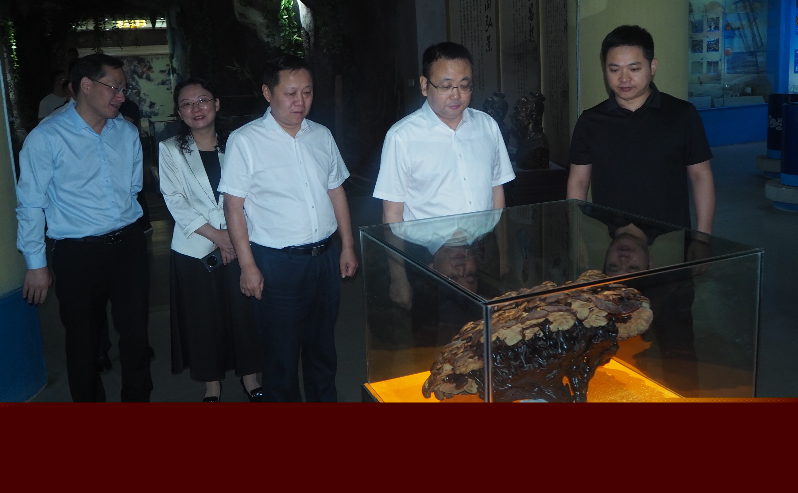 杭州亞運(yùn)會(huì)官方靈芝產(chǎn)品供應(yīng)商|杭州亞運(yùn)會(huì)官方供應(yīng)商|中國靈芝十大品牌|仙客來靈芝|仙客來靈芝破壁孢子粉|仙客來孢子油|仙客來靈芝飲片|仙客來破壁孢子粉|靈芝孢子油|孢子粉|靈芝破壁孢子粉|靈芝|中華老字號