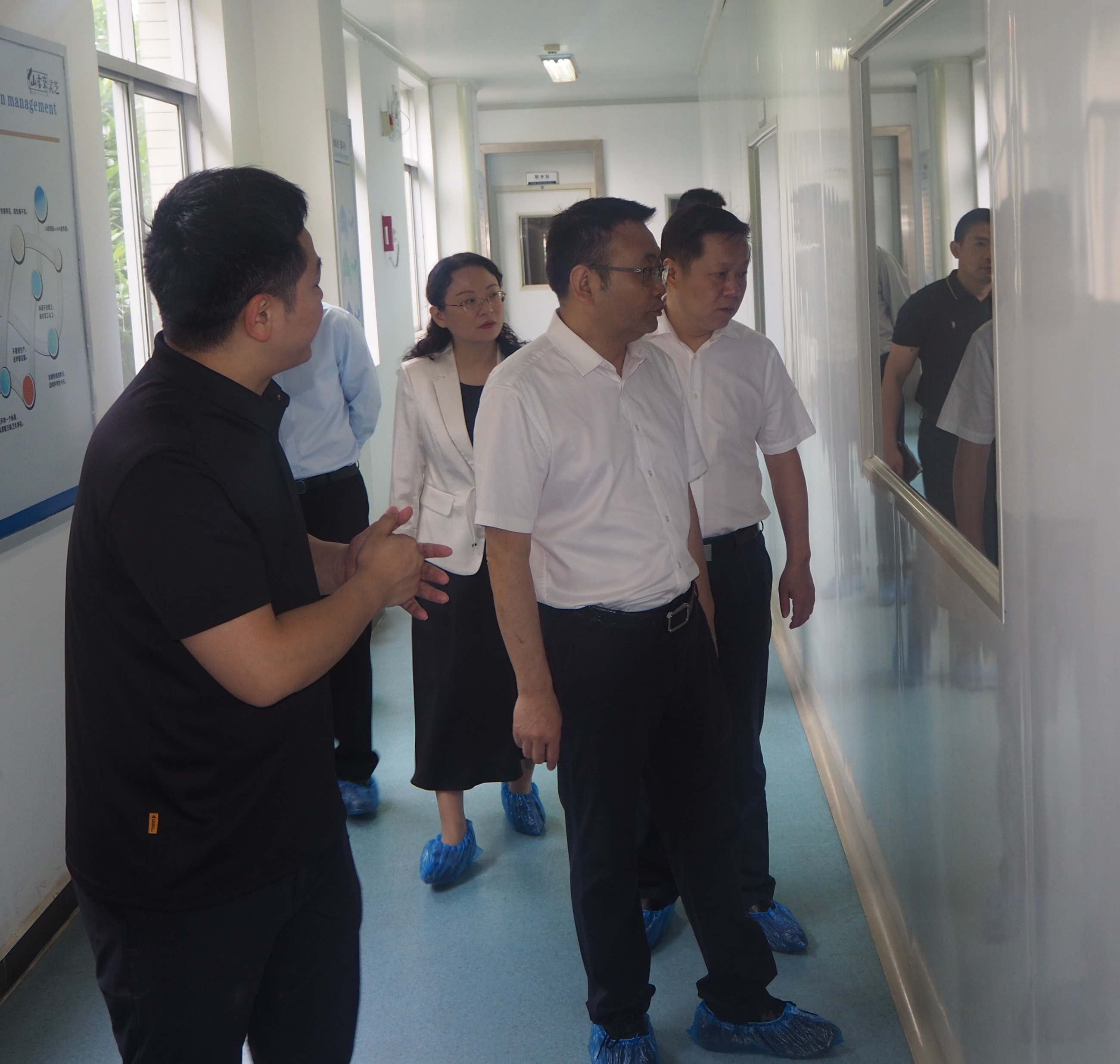 杭州亞運(yùn)會(huì)官方靈芝產(chǎn)品供應(yīng)商|杭州亞運(yùn)會(huì)官方供應(yīng)商|中國靈芝十大品牌|仙客來靈芝|仙客來靈芝破壁孢子粉|仙客來孢子油|仙客來靈芝飲片|仙客來破壁孢子粉|靈芝孢子油|孢子粉|靈芝破壁孢子粉|靈芝|中華老字號