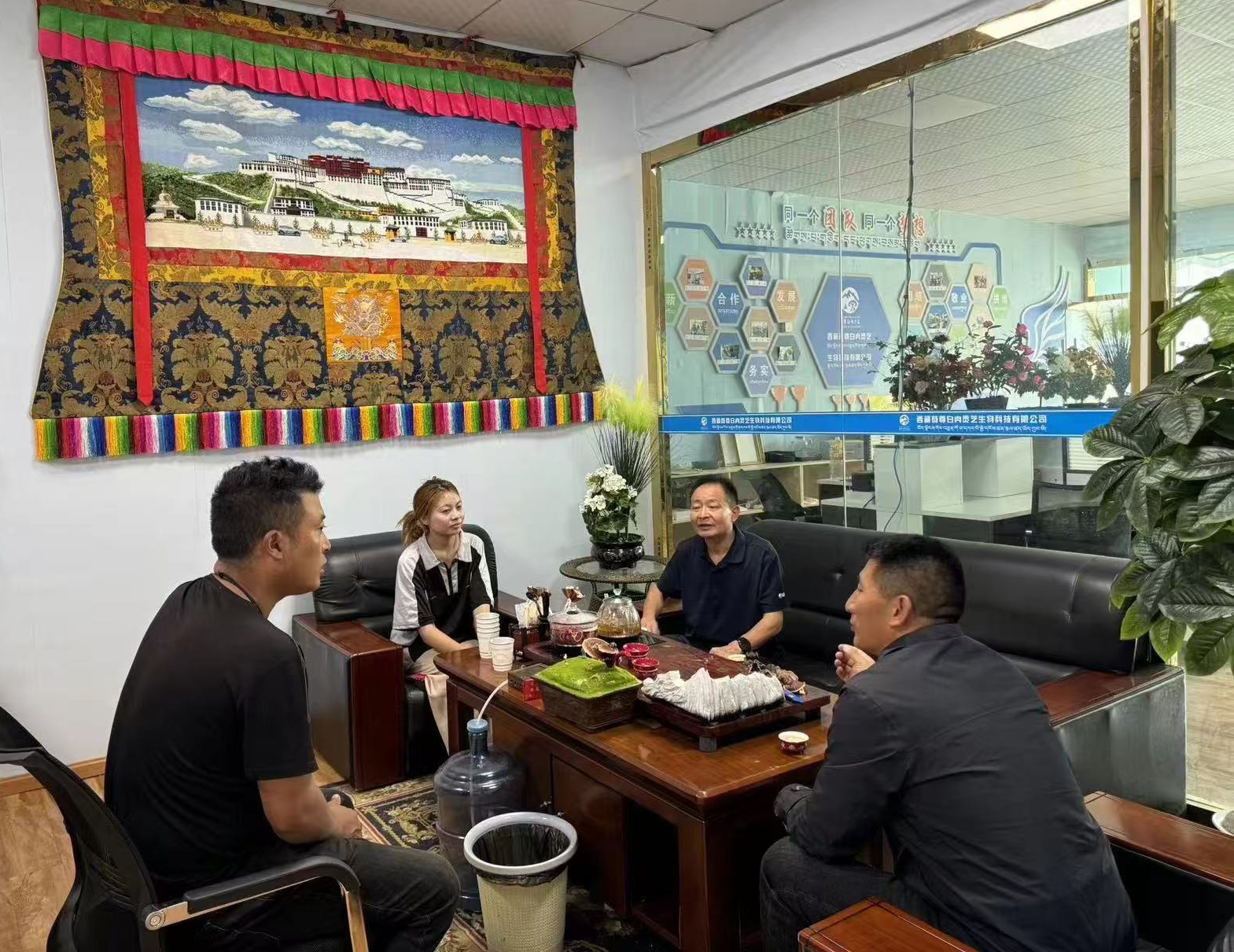 杭州亞運(yùn)會(huì)官方靈芝產(chǎn)品供應(yīng)商|杭州亞運(yùn)會(huì)官方供應(yīng)商|中國(guó)靈芝十大品牌|仙客來(lái)靈芝|仙客來(lái)靈芝破壁孢子粉|仙客來(lái)孢子油|仙客來(lái)靈芝飲片|仙客來(lái)破壁孢子粉|靈芝孢子油|孢子粉|靈芝破壁孢子粉|靈芝|中華老字號(hào)