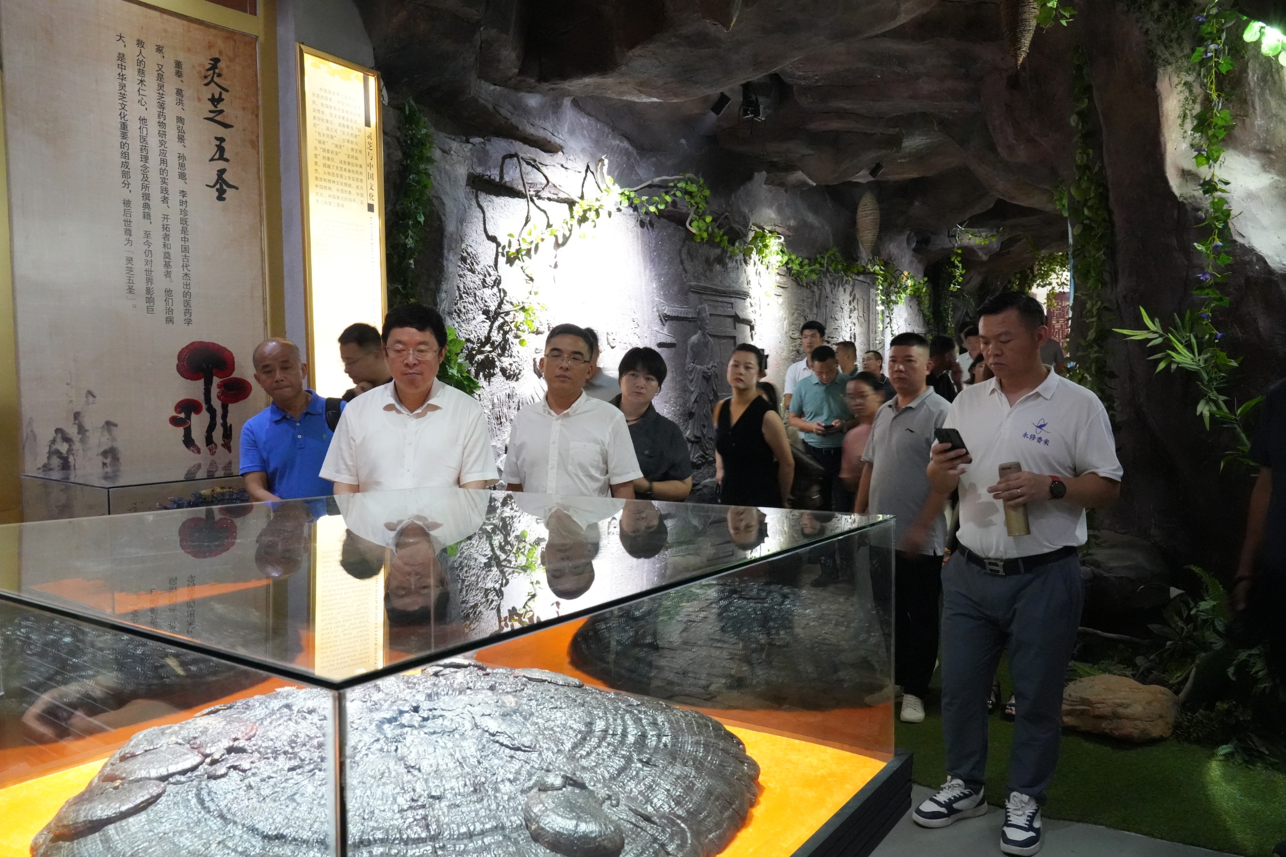 杭州亞運會官方靈芝產(chǎn)品供應(yīng)商|杭州亞運會官方供應(yīng)商|中國靈芝十大品牌|仙客來靈芝|仙客來靈芝破壁孢子粉|仙客來孢子油|仙客來靈芝飲片|仙客來破壁孢子粉|靈芝孢子油|孢子粉|靈芝破壁孢子粉|靈芝|中華老字號