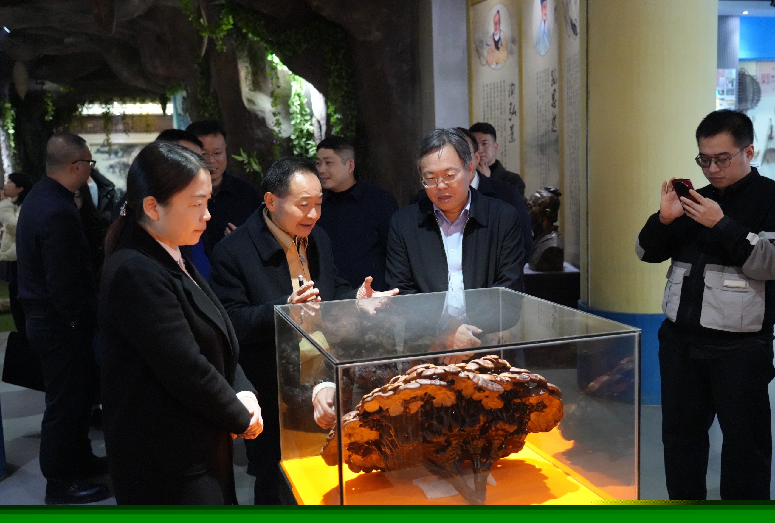 杭州亞運會官方靈芝產(chǎn)品供應(yīng)商|杭州亞運會官方供應(yīng)商|中國靈芝十大品牌|仙客來靈芝|仙客來靈芝破壁孢子粉|仙客來孢子油|仙客來靈芝飲片|仙客來破壁孢子粉|靈芝孢子油|孢子粉|靈芝破壁孢子粉|靈芝|中華老字號