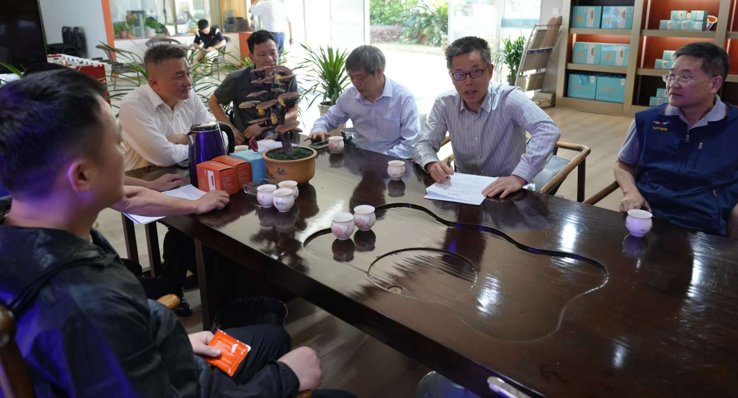 杭州亞運(yùn)會(huì)官方靈芝產(chǎn)品供應(yīng)商|杭州亞運(yùn)會(huì)官方供應(yīng)商|中國(guó)靈芝十大品牌|仙客來(lái)靈芝|仙客來(lái)靈芝破壁孢子粉|仙客來(lái)孢子油|仙客來(lái)靈芝飲片|仙客來(lái)破壁孢子粉|靈芝孢子油|孢子粉|靈芝破壁孢子粉|靈芝|中華老字號(hào)