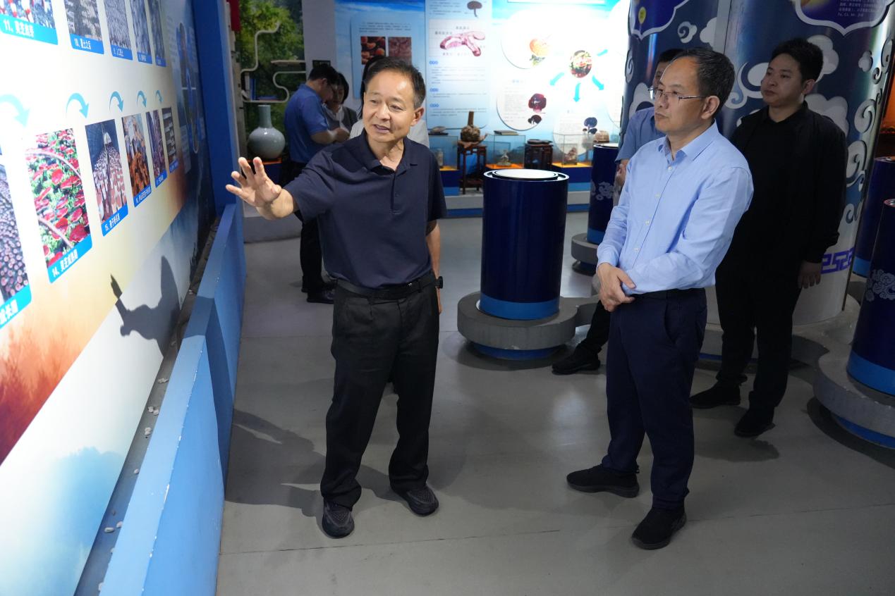 杭州亞運(yùn)會(huì)官方靈芝產(chǎn)品供應(yīng)商|杭州亞運(yùn)會(huì)官方供應(yīng)商|中國靈芝十大品牌|仙客來靈芝|仙客來靈芝破壁孢子粉|仙客來孢子油|仙客來靈芝飲片|仙客來破壁孢子粉|靈芝孢子油|孢子粉|靈芝破壁孢子粉|靈芝|中華老字號(hào)