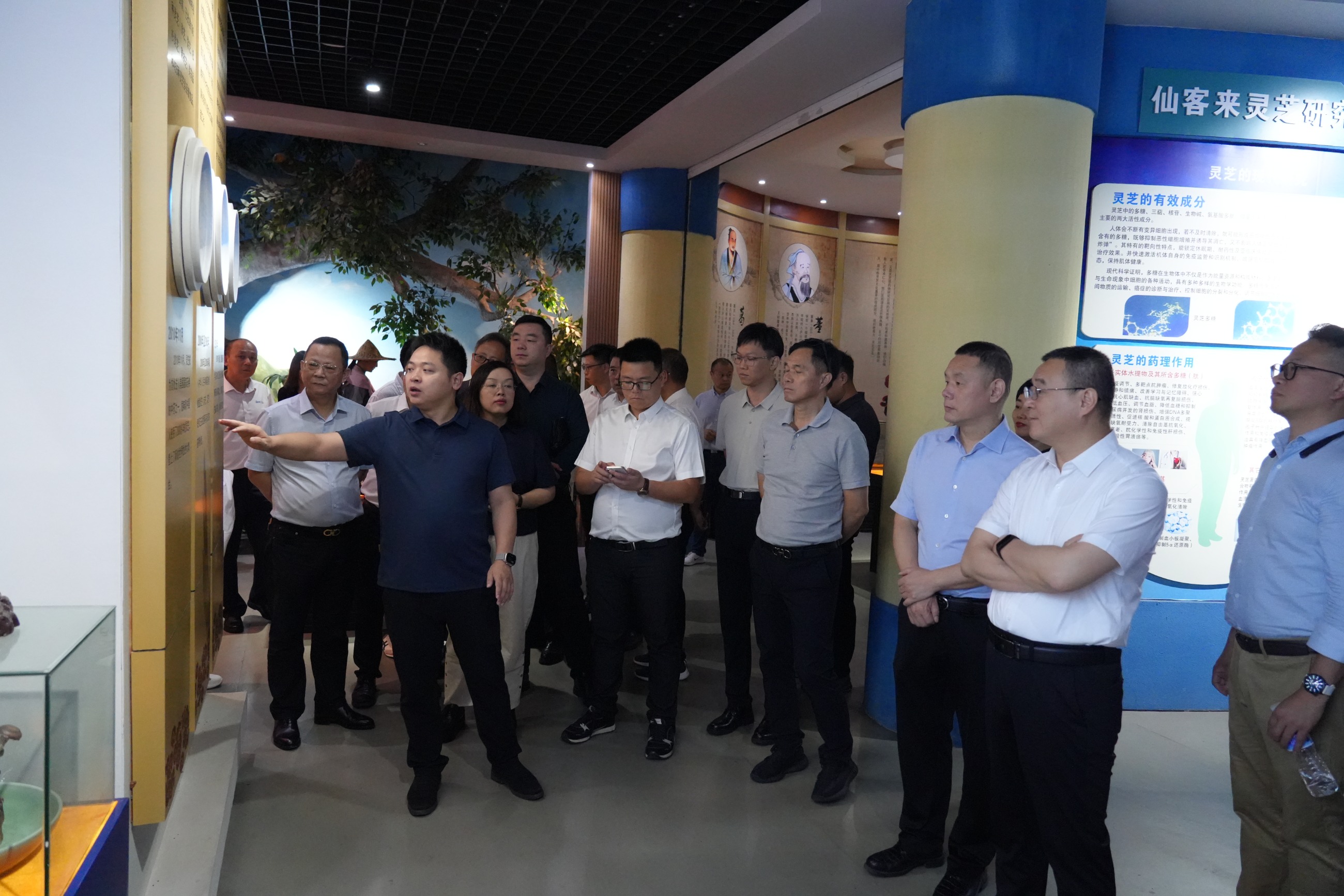 杭州亞運會官方靈芝產(chǎn)品供應商|杭州亞運會官方供應商|中國靈芝十大品牌|仙客來靈芝|仙客來靈芝破壁孢子粉|仙客來孢子油|仙客來靈芝飲片|仙客來破壁孢子粉|靈芝孢子油|孢子粉|靈芝破壁孢子粉|靈芝|中華老字號