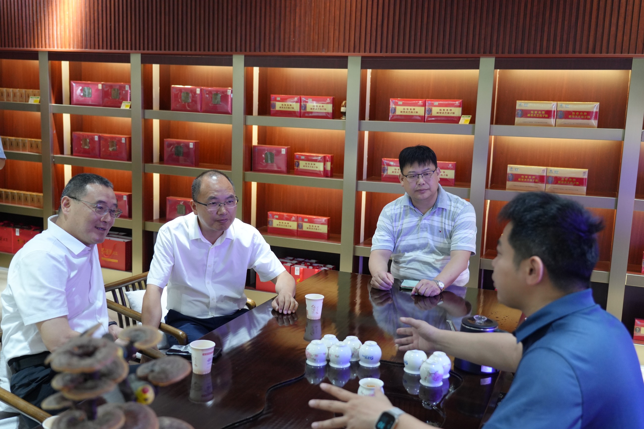 杭州亞運會官方靈芝產(chǎn)品供應商|杭州亞運會官方供應商|中國靈芝十大品牌|仙客來靈芝|仙客來靈芝破壁孢子粉|仙客來孢子油|仙客來靈芝飲片|仙客來破壁孢子粉|靈芝孢子油|孢子粉|靈芝破壁孢子粉|靈芝|中華老字號