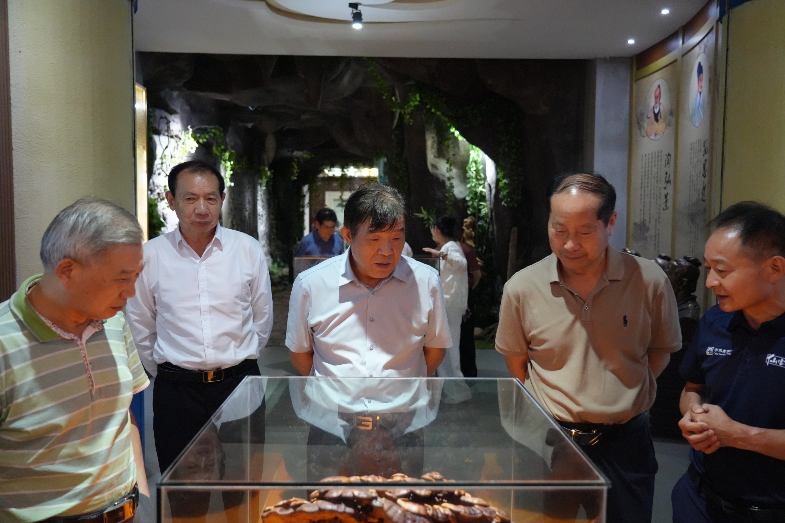 杭州亞運會官方靈芝產品供應商|杭州亞運會官方供應商|中國靈芝十大品牌|仙客來靈芝|仙客來靈芝破壁孢子粉|仙客來孢子油|仙客來靈芝飲片|仙客來破壁孢子粉|靈芝孢子油|孢子粉|靈芝破壁孢子粉|靈芝|中華老字號