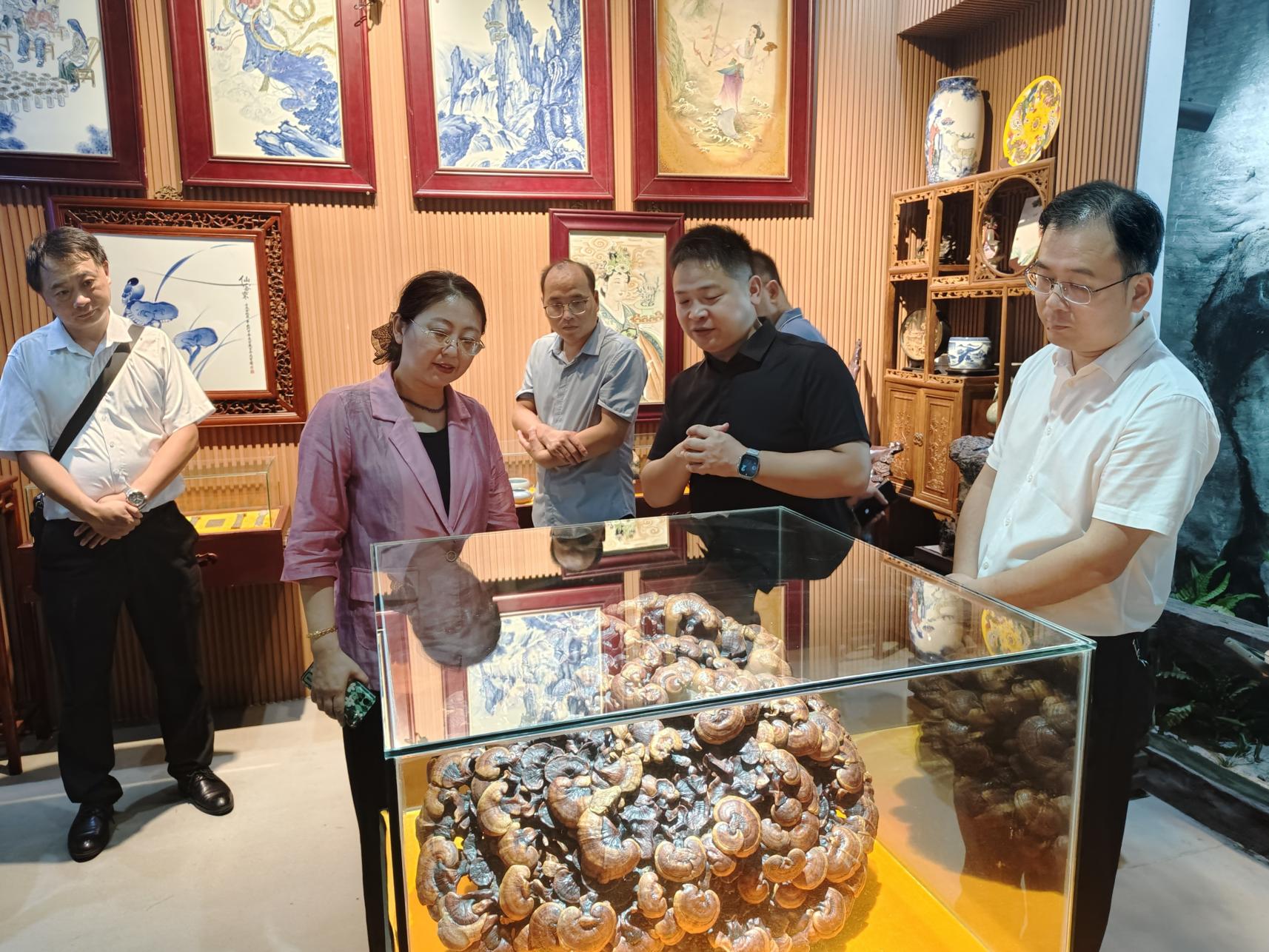 杭州亞運(yùn)會(huì)官方靈芝產(chǎn)品供應(yīng)商|杭州亞運(yùn)會(huì)官方供應(yīng)商|中國靈芝十大品牌|仙客來靈芝|仙客來靈芝破壁孢子粉|仙客來孢子油|仙客來靈芝飲片|仙客來破壁孢子粉|靈芝孢子油|孢子粉|靈芝破壁孢子粉|靈芝|中華老字號