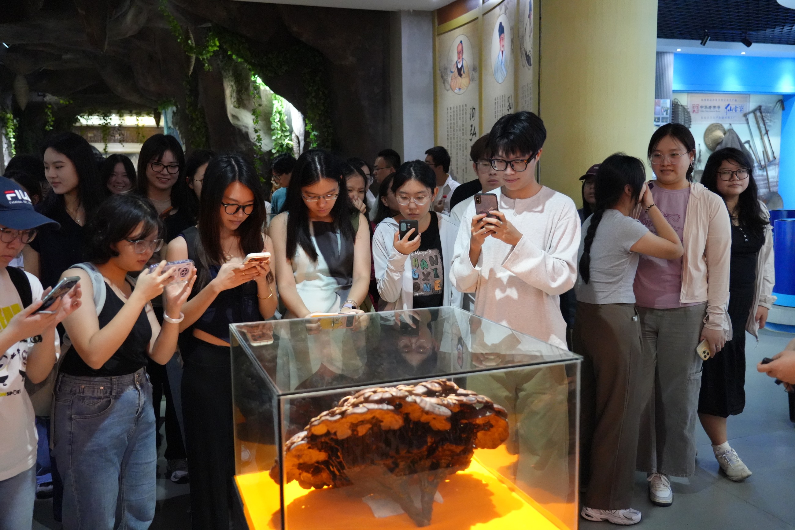 杭州亞運會官方靈芝產(chǎn)品供應(yīng)商|杭州亞運會官方供應(yīng)商|中國靈芝十大品牌|仙客來靈芝|仙客來靈芝破壁孢子粉|仙客來孢子油|仙客來靈芝飲片|仙客來破壁孢子粉|靈芝孢子油|孢子粉|靈芝破壁孢子粉|靈芝|中華老字號