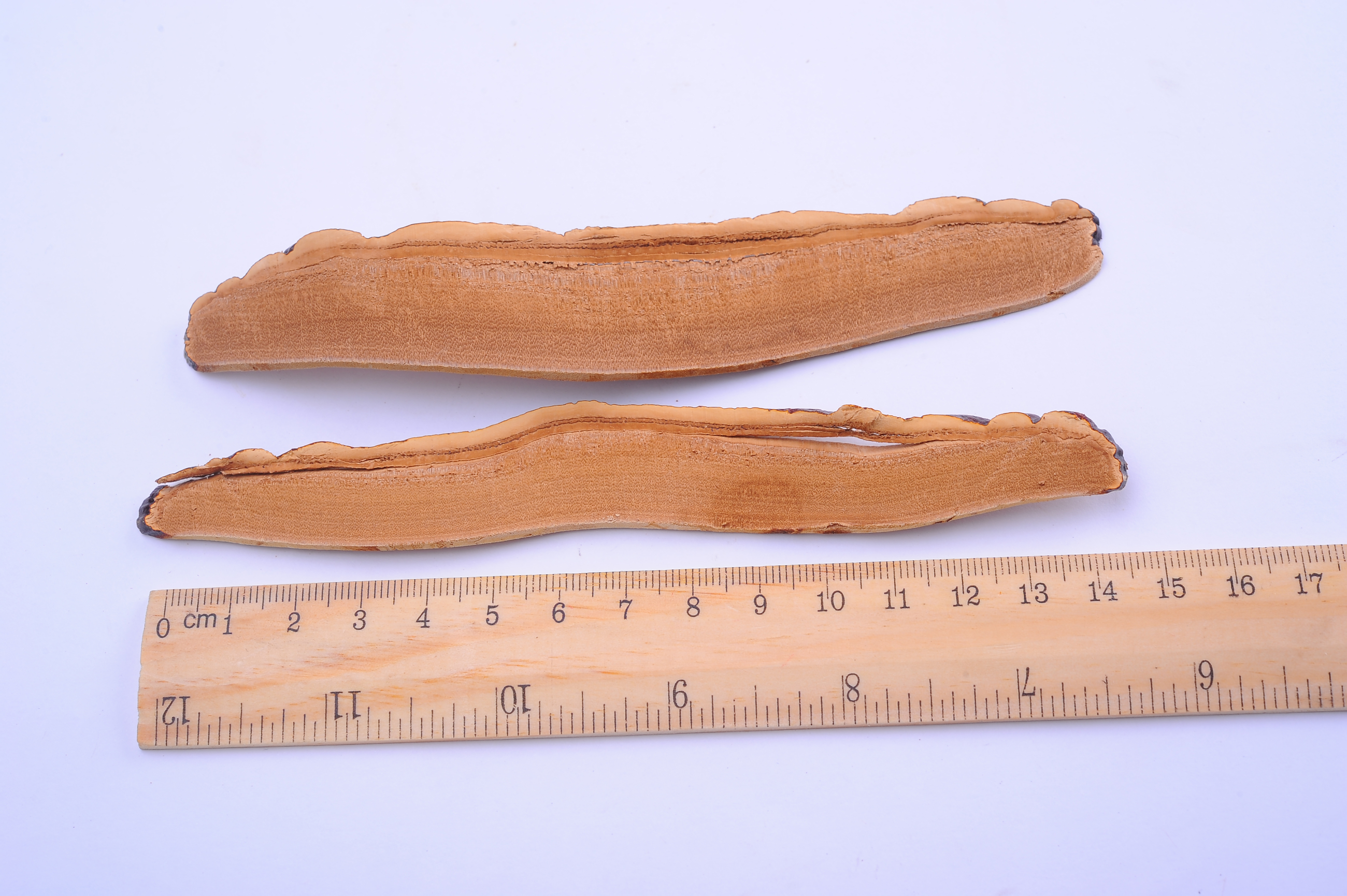 杭州亞運會官方靈芝產(chǎn)品供應(yīng)商|杭州亞運會官方供應(yīng)商|中國靈芝十大品牌|仙客來靈芝|仙客來靈芝破壁孢子粉|仙客來孢子油|仙客來靈芝飲片|仙客來破壁孢子粉|靈芝孢子油|孢子粉|靈芝破壁孢子粉|靈芝|中華老字號