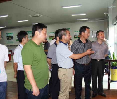 德安縣委、人大、政協(xié)領(lǐng)導(dǎo)考察仙客來公司