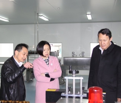 九江市委常委、副市長才宏遠(yuǎn)蒞臨仙客來公司調(diào)研企業(yè)上市掛牌工作