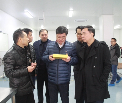 江西省檢察院黨組成員、副檢察長徐勝平一行來公司走訪調(diào)研
