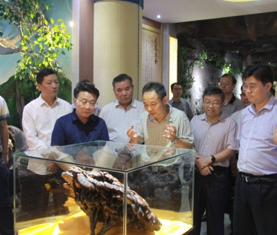 &ldquo;降成本，優(yōu)環(huán)境&rdquo;助企業(yè)騰飛&mdash;&mdash;江西省政協(xié)副主席率團調研仙客來！