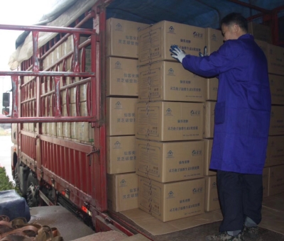 【4天加班15次缺貨】只為人皆有“芝”！