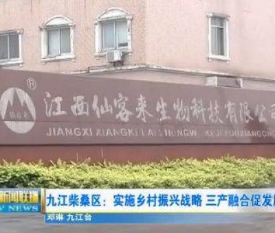 中國(guó)人只需要“別具”，缺失了“匠心”！