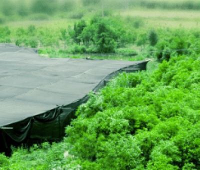 感謝廬山吧，這會(huì)是一場(chǎng)“仙旅情緣”