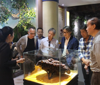 健康“良方”在這！全國(guó)政協(xié)委員、世界著名大學(xué)香港大學(xué) 榮譽(yù)院士孫少文博士蒞臨仙客來(lái)公司參觀考察