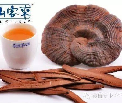 熱潮不斷！仙客來有機(jī)靈芝被點贊刷屏