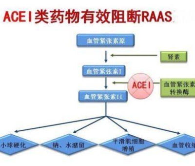 不吃藥，能降低高血壓？