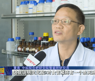 最新研究!中國科學(xué)院在靈芝抗癌藥理研究方面取得重大進展