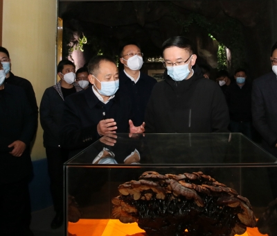 市委書記劉文華蒞臨仙客來公司調(diào)研指導(dǎo)