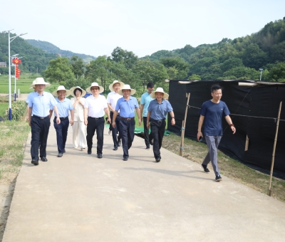 全國工商聯(lián)社會服務(wù)部部長吳建輝一行蒞臨仙客來靈芝標準化基地等地調(diào)研