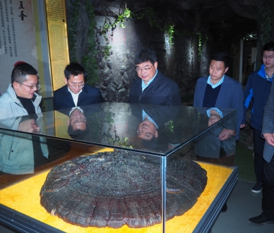 江西省委宣傳部副部長傅云一行蒞臨仙客來考察調(diào)研