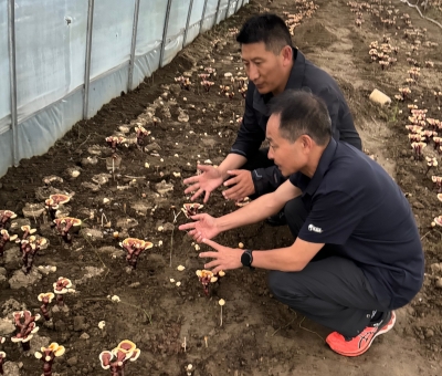 助力少數(shù)民族地區(qū)發(fā)展！潘新華應(yīng)邀前往西藏拉薩市和林芝市 共商產(chǎn)業(yè)發(fā)展良策