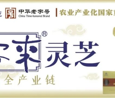 贊助商-仙客來靈芝，為健康加油