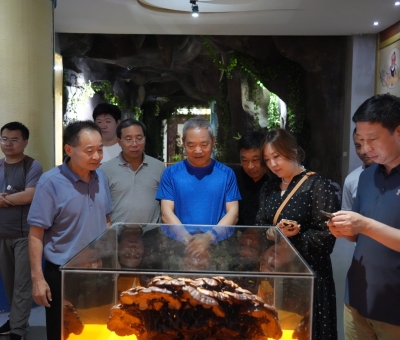 中國(guó)中藥協(xié)會(huì)領(lǐng)導(dǎo)一行參訪仙客來(lái)靈芝