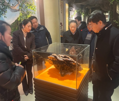 曲鳳宏赴仙客來(lái)考察調(diào)研